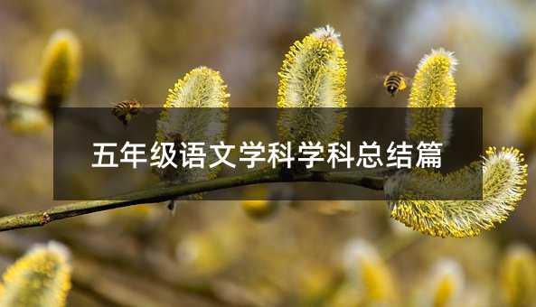 꼶ѧѧܽƪ
