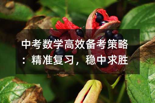 中考数学高效备考策略:精准复习,稳中求胜