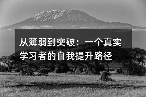 从薄弱到突破:一个真实学习者的自我提升路径