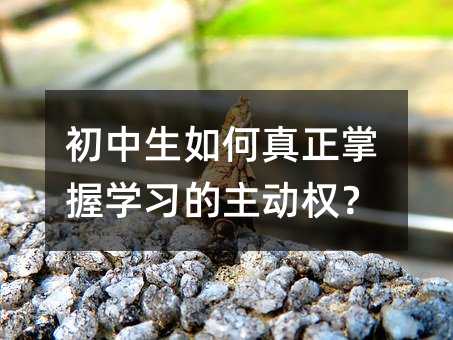 初中生如何真正掌握学习的主动权?