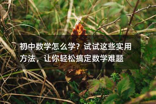 初中数学怎么学?试试这些实用方法,让你轻松搞定数学难题