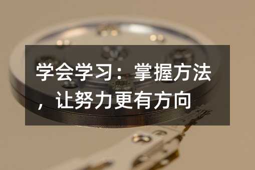 学会学习:掌握方法,让努力更有方向