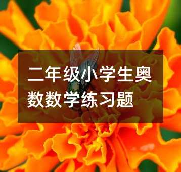 二年级小学生奥数数学练习题