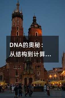 DNA的奥秘:从结构到计算,带你深入理解遗传信息的载体