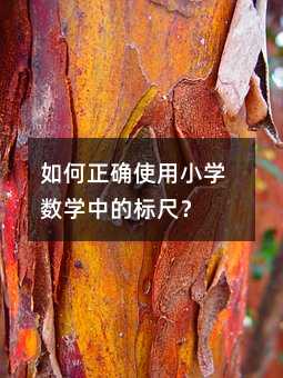 如何正确使用小学数学中的标尺?