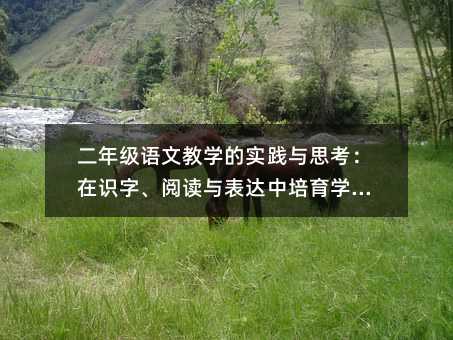 二年级语文教学的实践与思考:在识字、阅读与表达中培育学习力