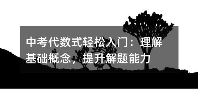 中考代数式轻松入门:理解基础概念,提升解题能力