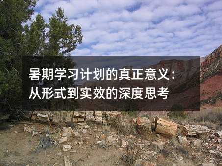ѧϰƻ壺ʽʵЧ˼
