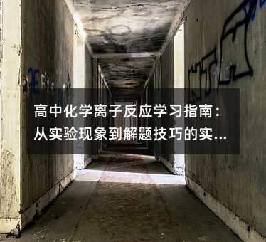 高中化学离子反应学习指南:从实验现象到解题技巧的实用解析