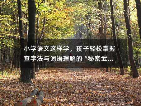 小学语文这样学,孩子轻松掌握查字法与词语理解的“秘密武器”