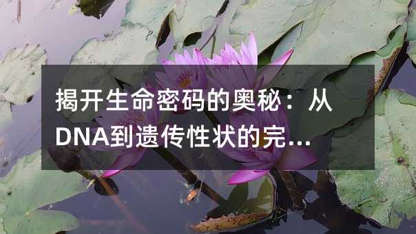 ҿİأDNAŴ״ó