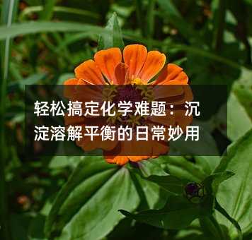 ɸ㶨ѧ⣺ܽƽճ