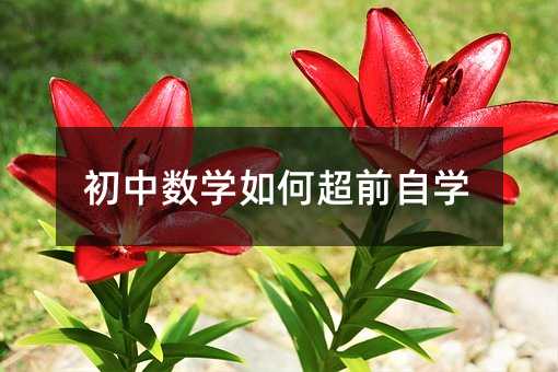 初中数学如何超前自学