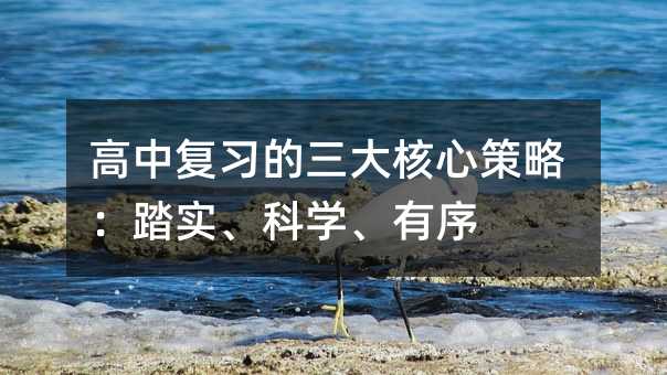 高中复习的三大核心策略:踏实、科学、有序