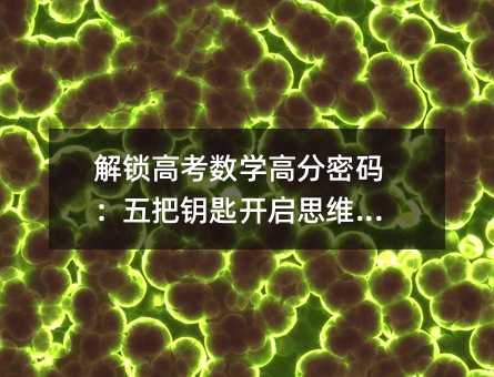 解锁高考数学高分密码:五把钥匙开启思维之门