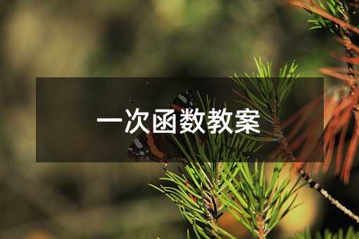 一次函数教案