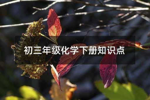 初三年级化学下册知识点