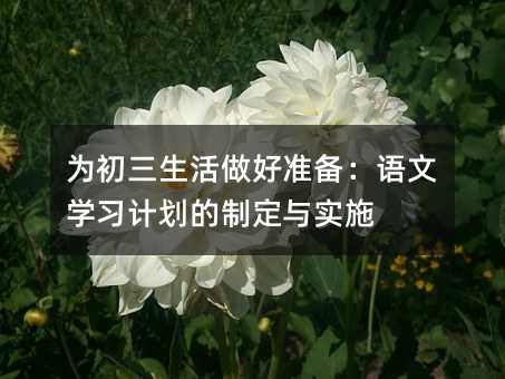 为初三生活做好准备:语文学习计划的制定与实施
