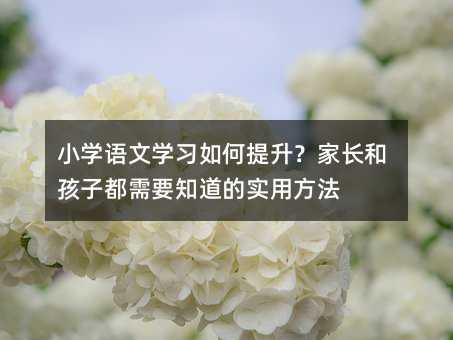 小学语文学习如何提升？家长和孩子都需要知道的实用方法