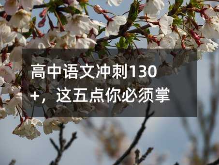 ĳ130+գ