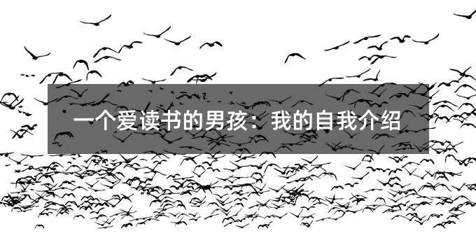 一个爱读书的男孩:我的自我介绍