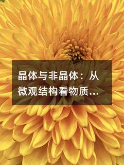 Ǿ壺΢۽ṹ֮