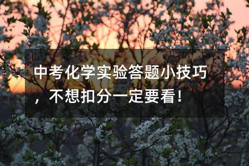 пѧʵСɣ۷һҪ