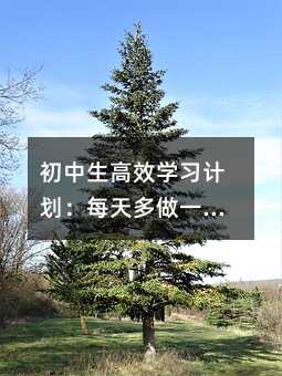 Чѧϰƻÿһ㣬ɼȻ