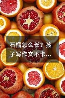 石榴怎么长?孩子写作文不卡壳,从一棵树开始