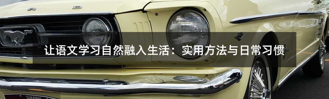 ѧϰȻʵ÷ճϰ