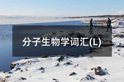 ѧʻ(L)