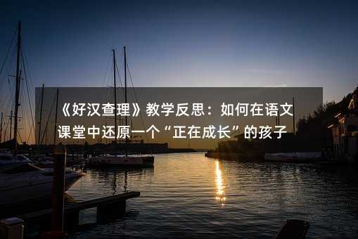 《好汉查理》教学反思:如何在语文课堂中还原一个“正在成长”的孩子