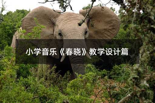 小学音乐《春晓》教学设计篇