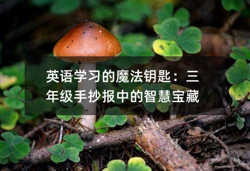 英语学习的魔法钥匙:三年级手抄报中的智慧宝藏