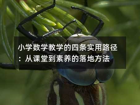 Сѧѧѧʵ·ӿõط