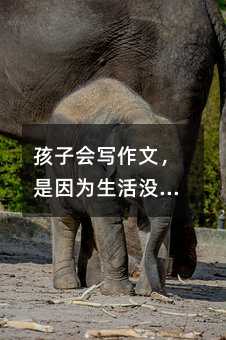孩子会写作文,是因为生活没被关在教室里