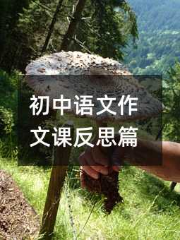 初中语文作文课反思篇