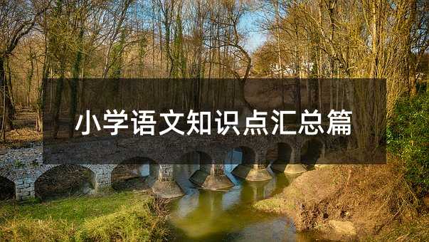 小学语文知识点汇总篇
