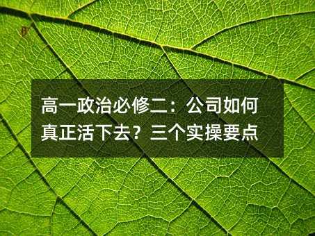 高一政治必修二:公司如何真正活下去?三个实操要点
