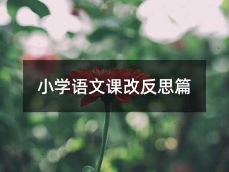 小学语文课改反思篇
