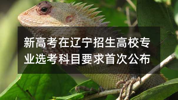 新高考在辽宁招生高校专业选考科目要求首次公布