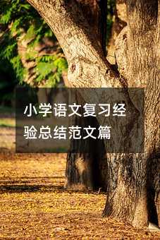小学语文复习经验总结范文篇
