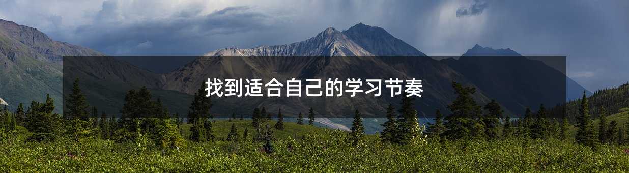 找到适合自己的学习节奏