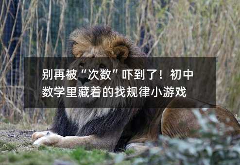 别再被“次数”吓到了!初中数学里藏着的找规律小游戏