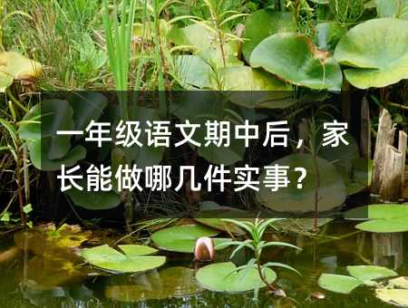 一年级语文期中后,家长能做哪几件实事?
