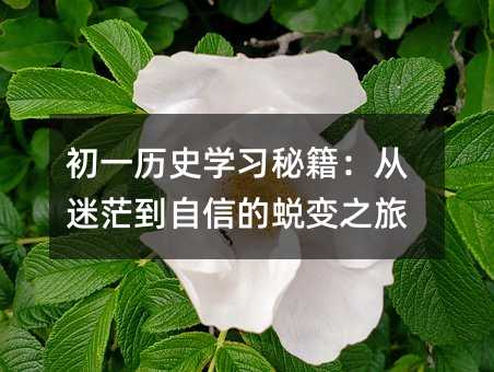 初一历史学习秘籍:从迷茫到自信的蜕变之旅