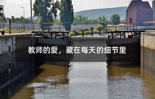 教师的爱,藏在每天的细节里