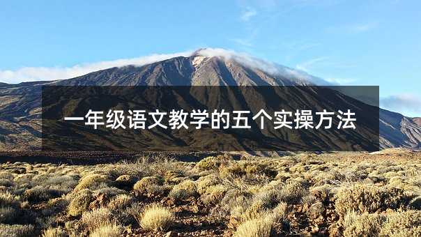 һ꼶Ľѧʵٷ