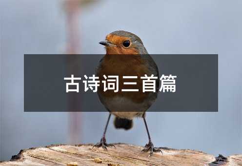 古诗词三首篇