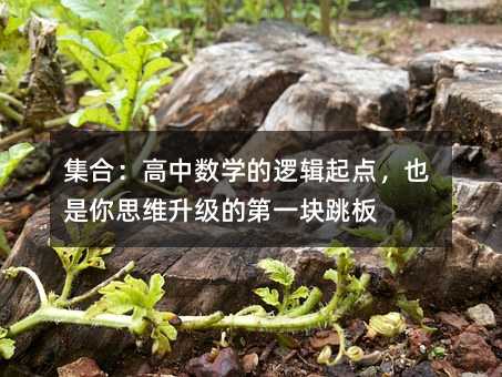 集合:高中数学的逻辑起点,也是你思维升级的第一块跳板